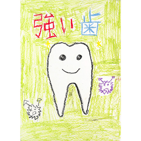 C132 強い歯 せいや