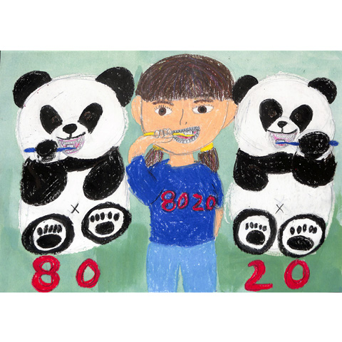 C162 歯みがきを毎日しよう！8020 Ａ🙂Ｉ